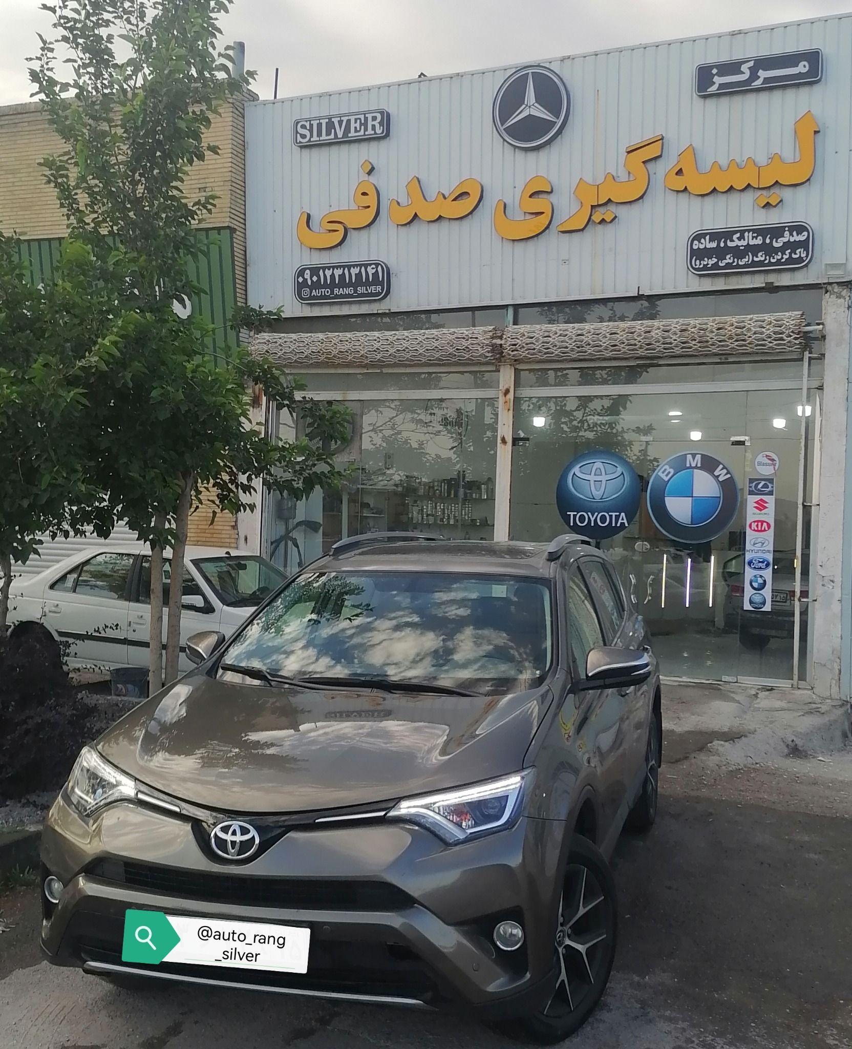 لیسه گیری صدفی