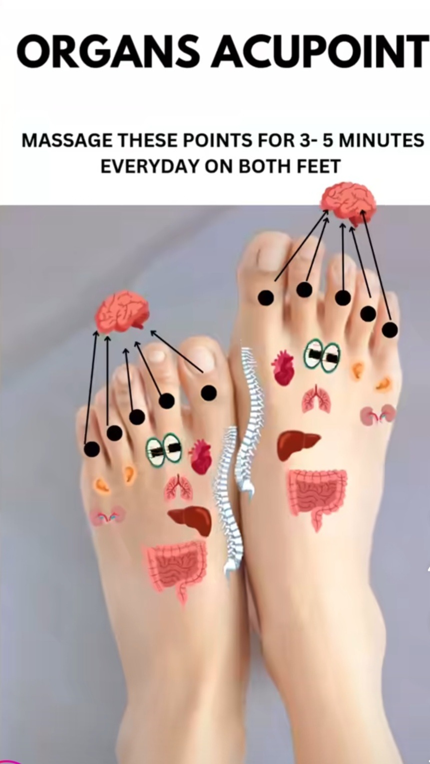 ماساژ تخصصی ایرانی و ماساژ شیاتسو