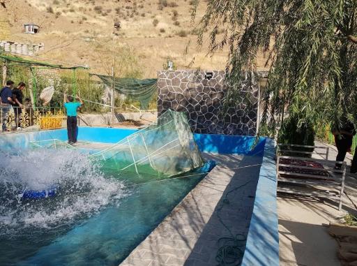 ماهی سرای دنج