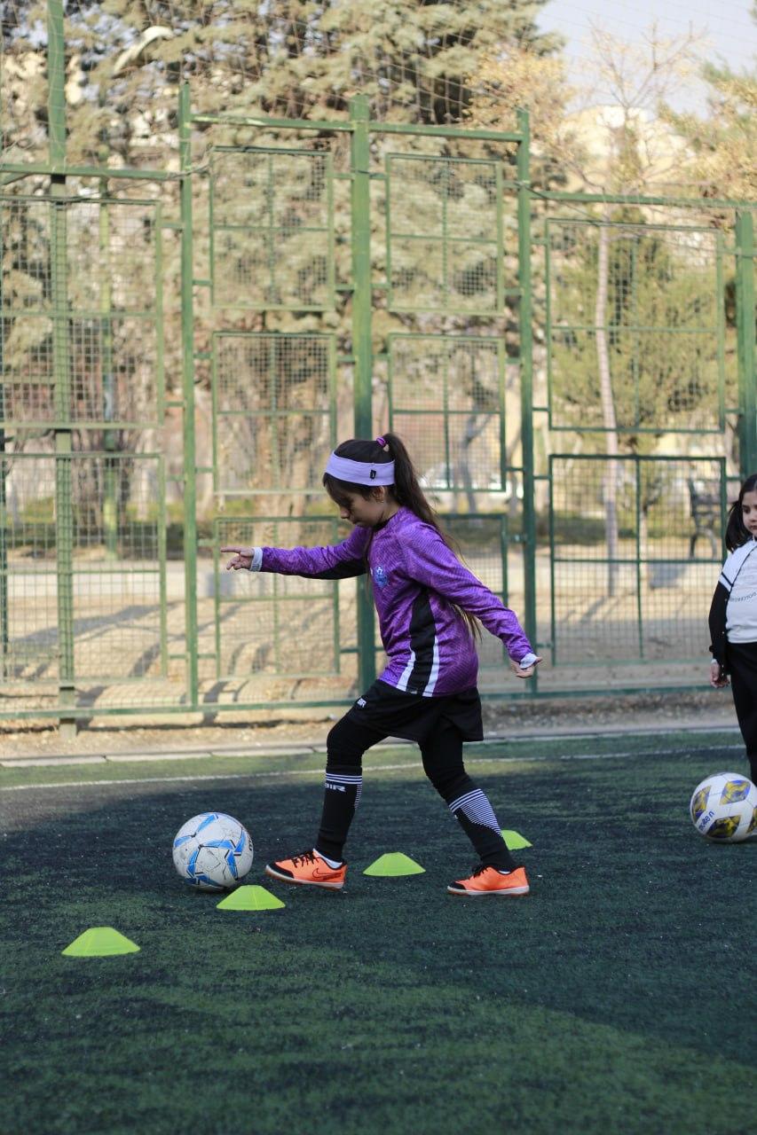 مجموعه فرهنگی ورزشی قصر نشاط
