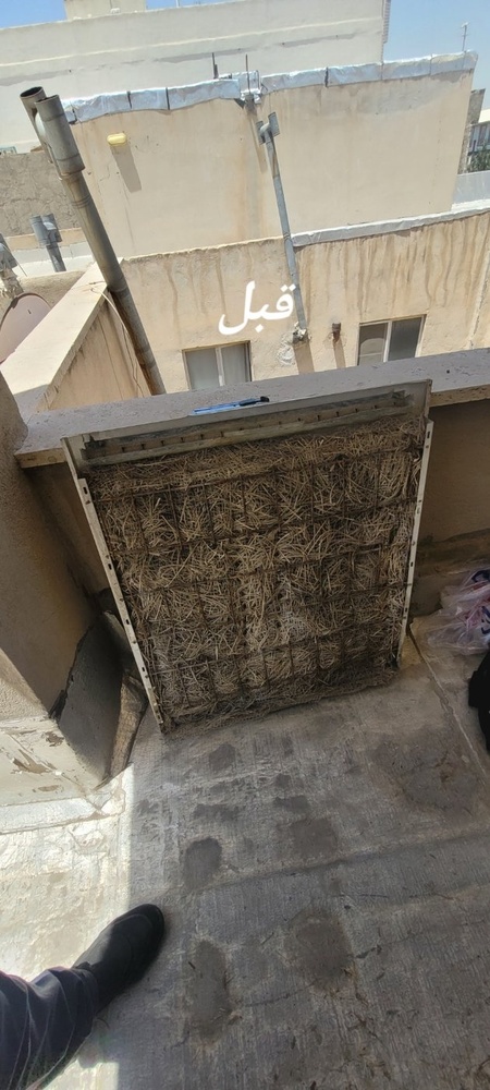 مجید زارعی محب