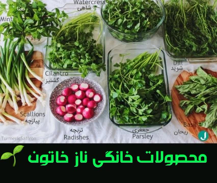 محصولات خانگی نازخاتون