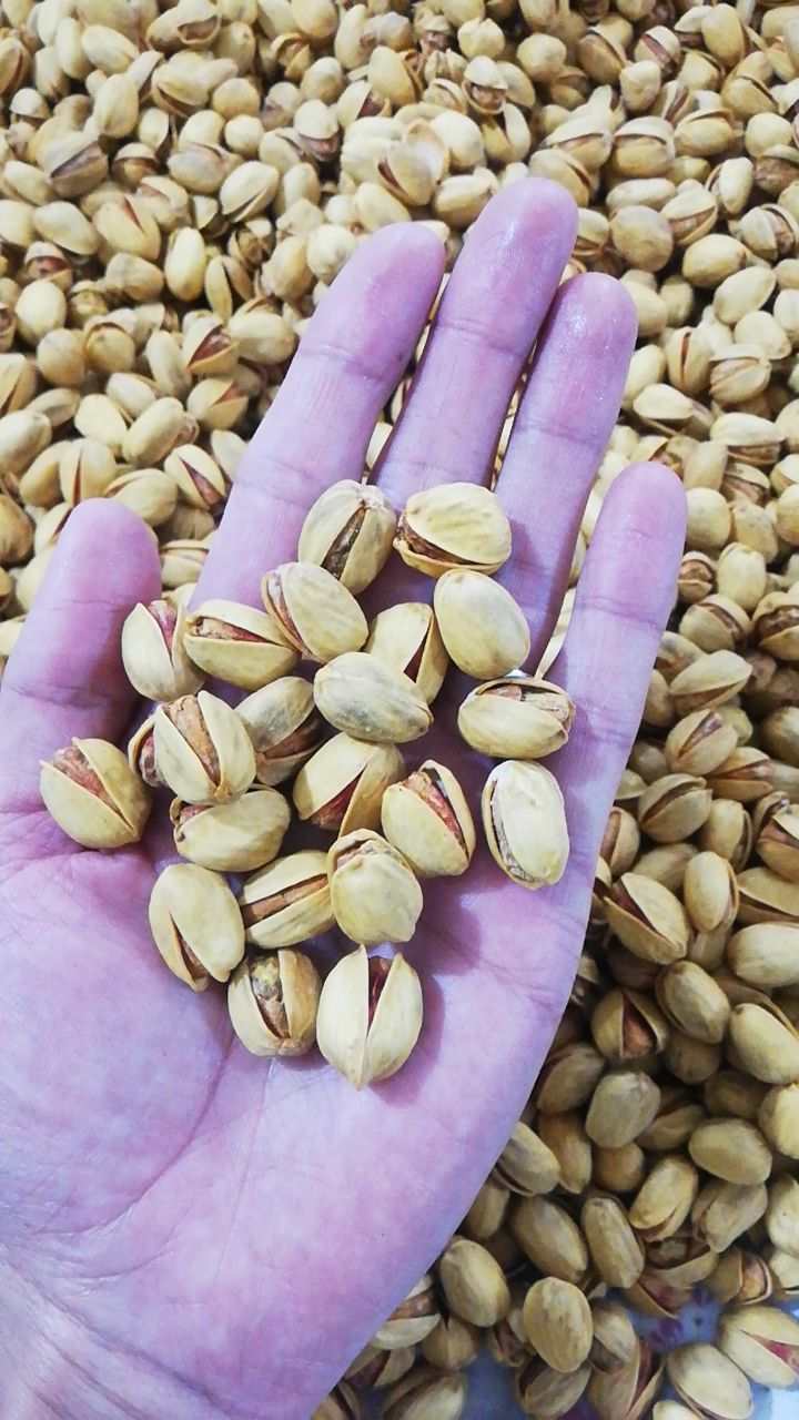 محصولات خانگی و گیاهان دارویی