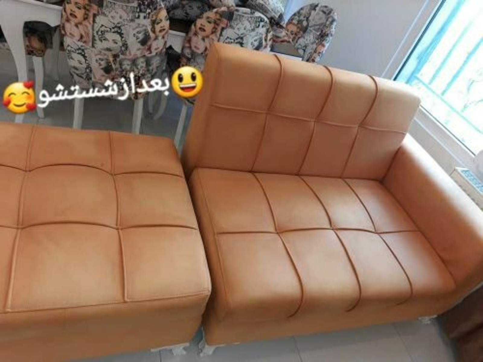 محمد باقر میرشاهی