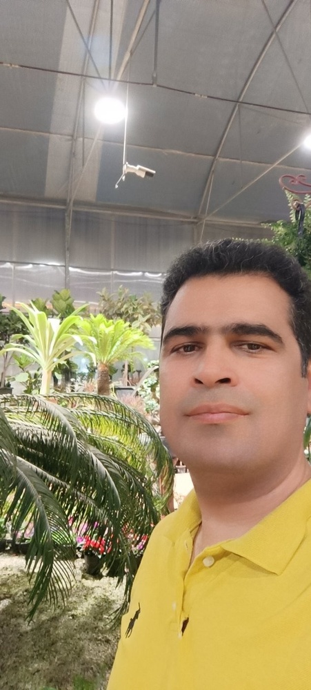 محمد حسن رحیمی