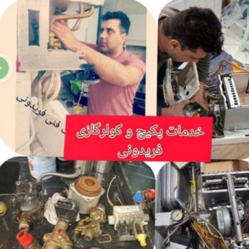 مرتضی فریدونی