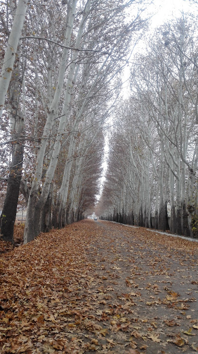 مرغداری شاه حسینی