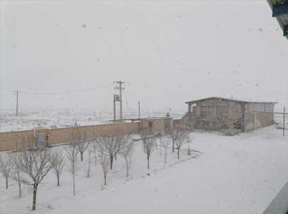 مرغداری قجری