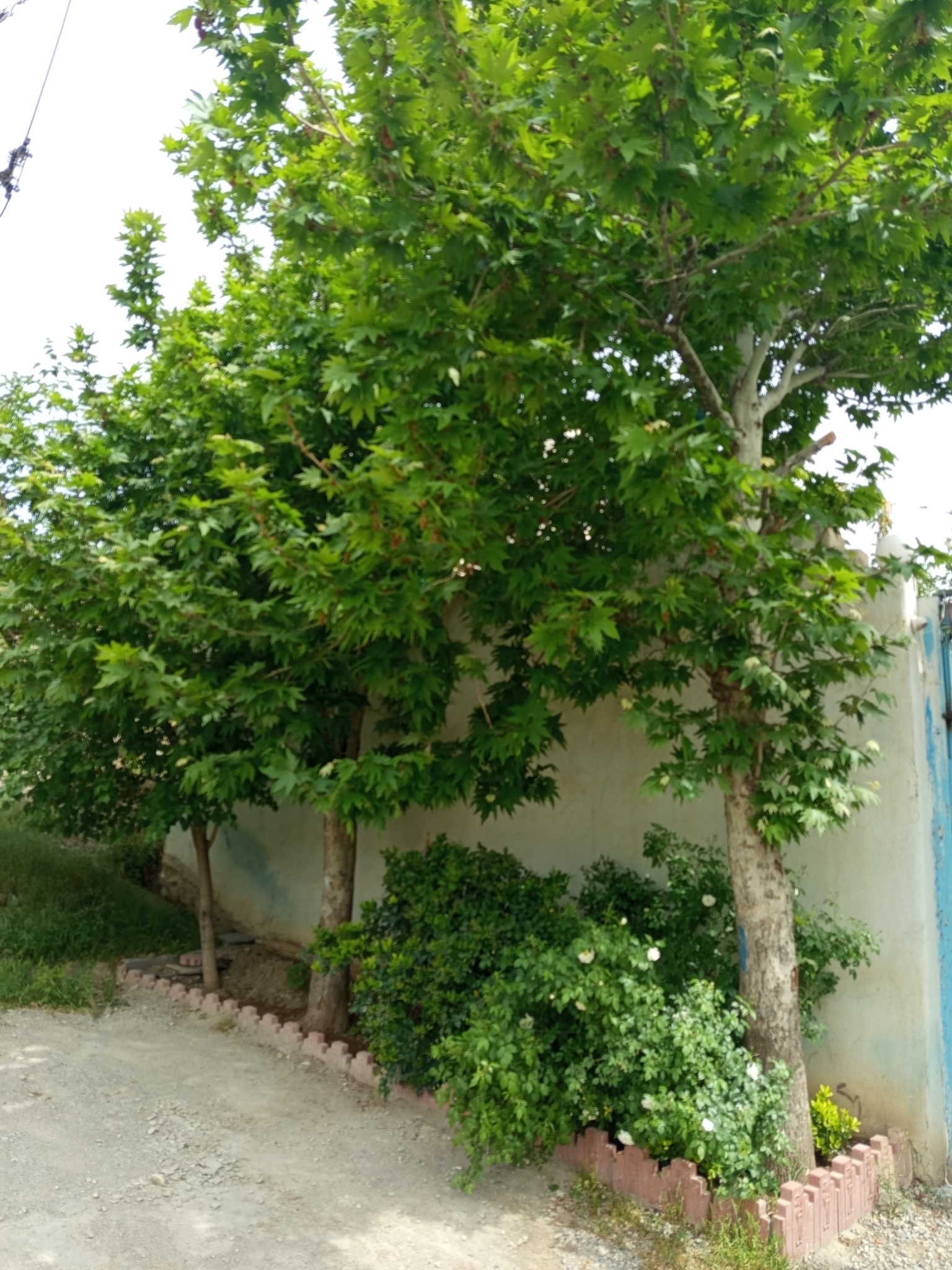 مرکز ترک اعتیاد افق رهایی معراج