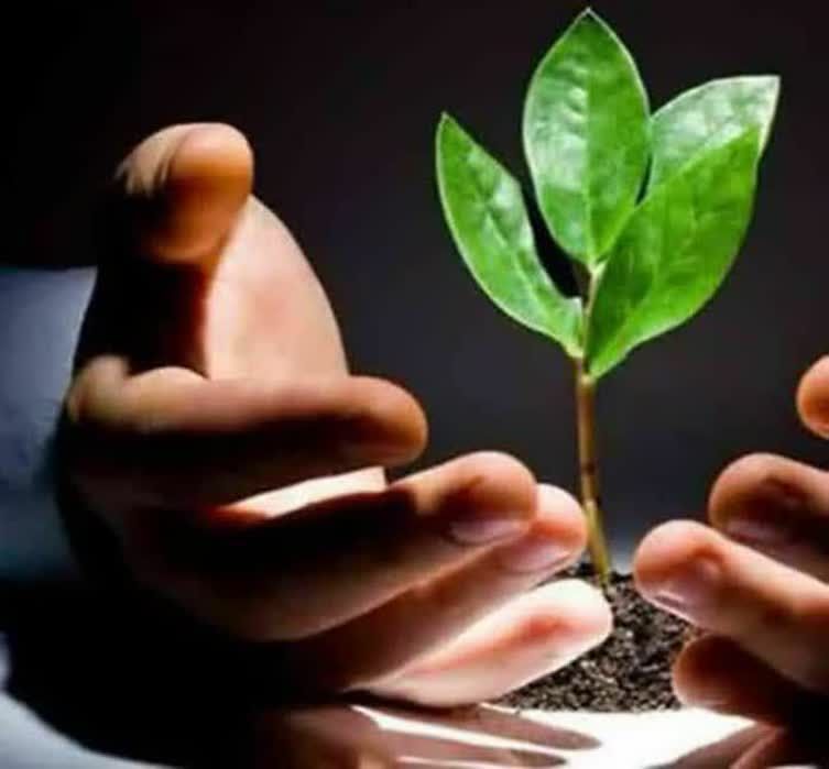 مرکز ترک اعتیاد حسینی