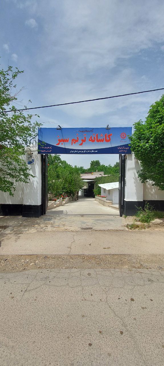 مرکز ترک اعتیاد کاشانه ترنم سبز (کرشت)