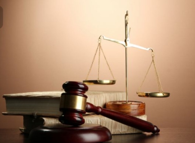 مریم توکلی وکیل