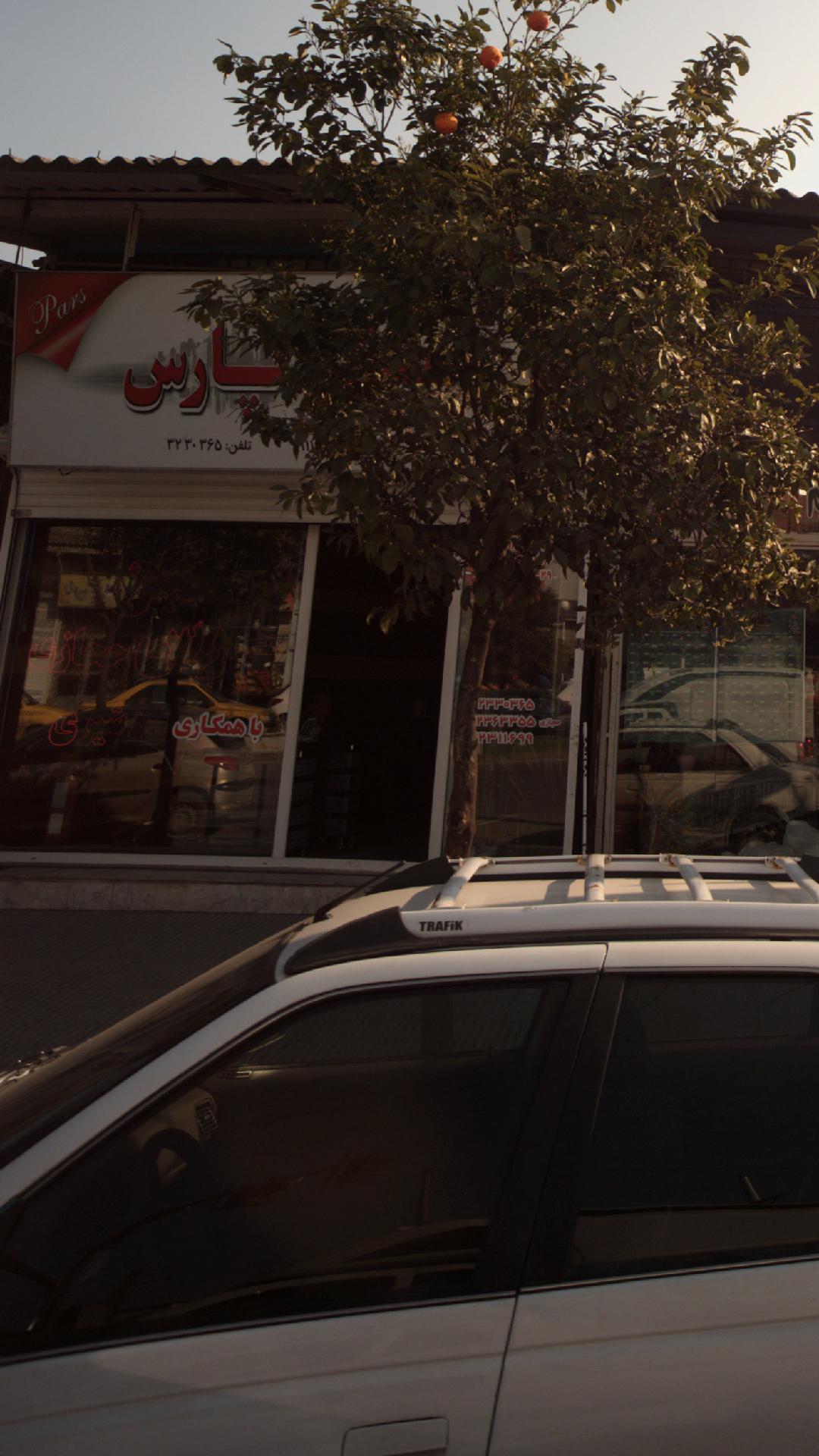 مسکن پارس