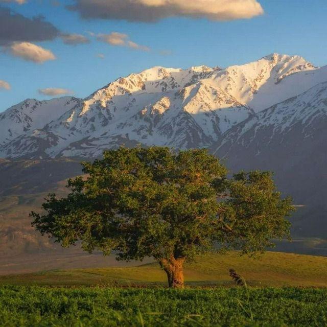 مشاور املاک جلیل ورمزیار