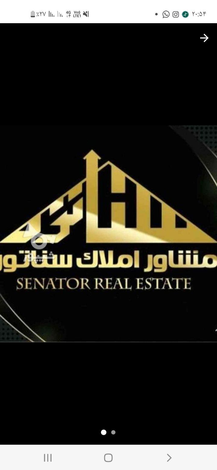 مشاور املاک سناتور