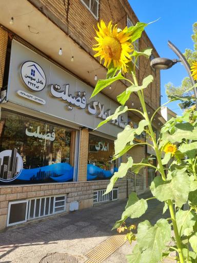 مشاور املاک فضیلت