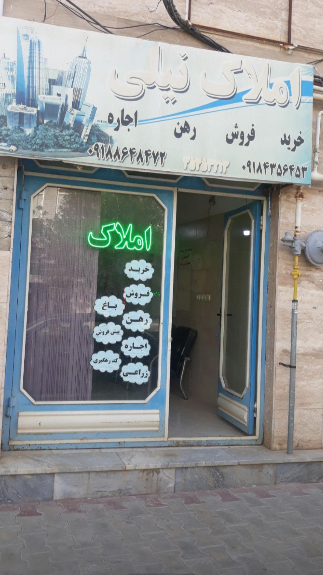 مشاور املاک نیلی