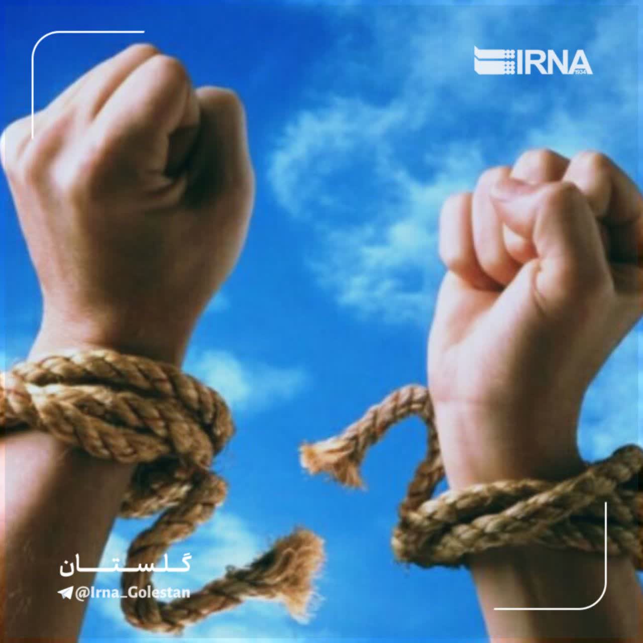 مشاور امورملکی وحقوقی علیرضا شمسی خانی