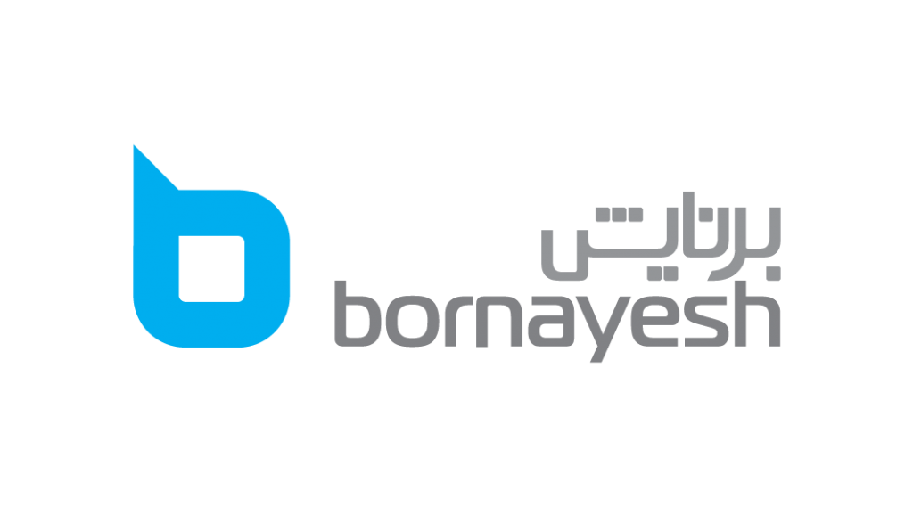 مشاوره مدیریت و تکنولوژی برنایش