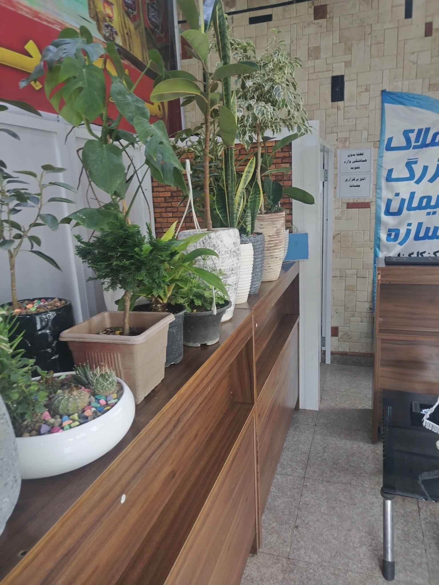 مشاورین املاک بزرگ پیمان سازه