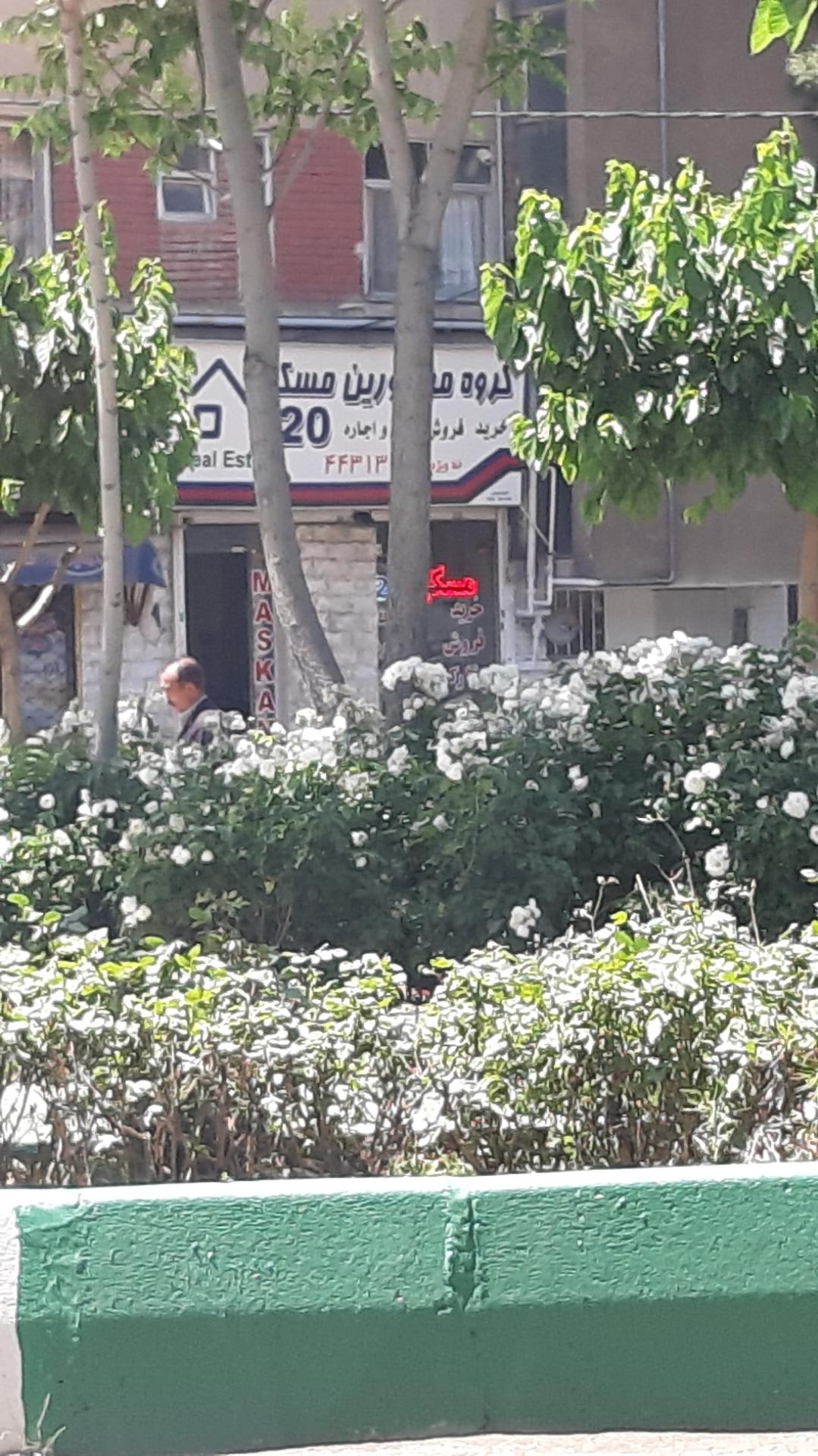 مشاورین املاک خلیج فارس