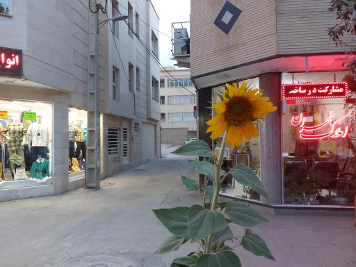 مشاورین املاک طهران