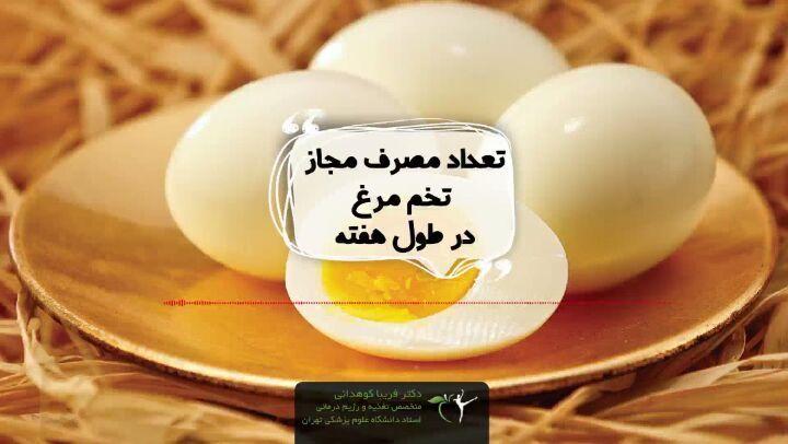 مطب تغذیه دکتر کوهدانی