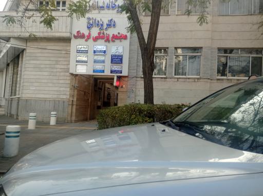 مطب دکتر سید علی قاسمی