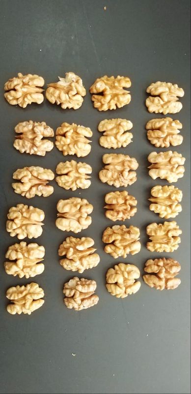 مغز گردو دانش