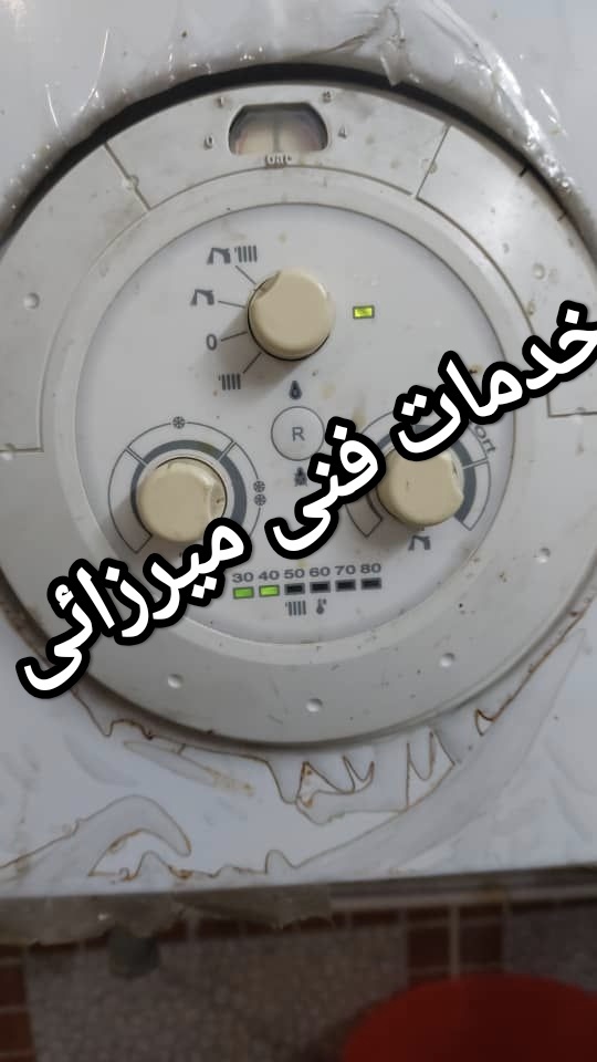مهدی میرزایی پور