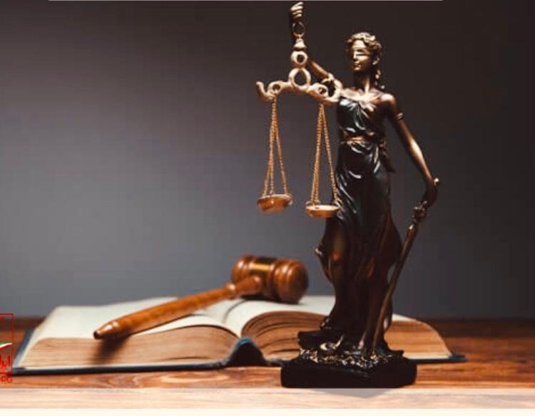 مهناز محمودپور وکیل دادگستری