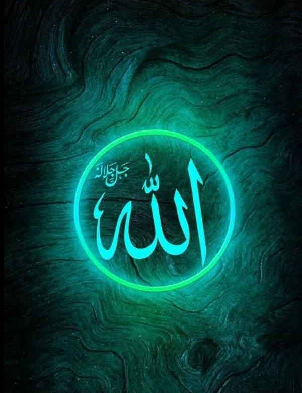 موسسه حقوقی سیفی