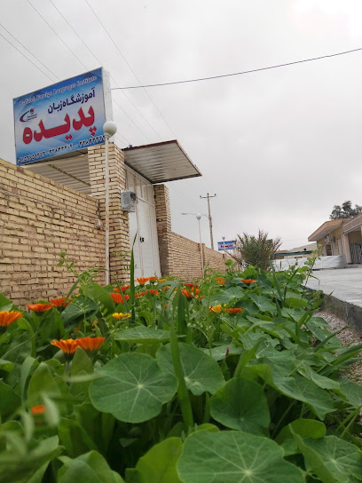 موسسه زبان پدیده