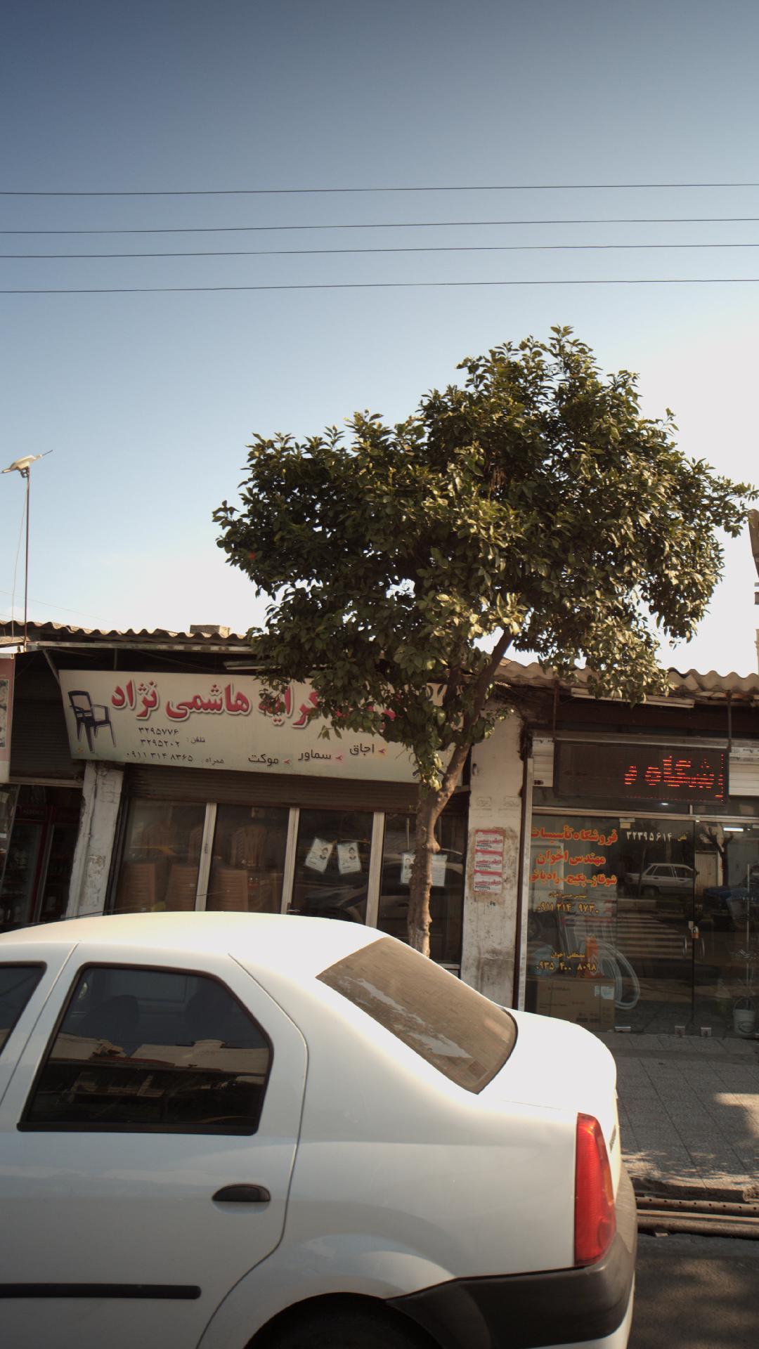 موسسه کرایه هاشمی نژاد