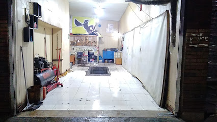 مکانیکی،جلوبندی هادی