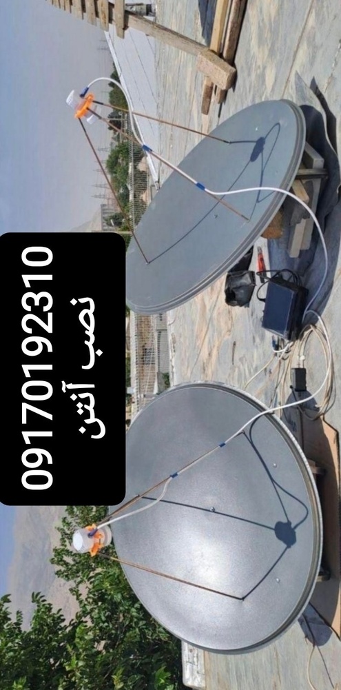 میثم دانش اندر