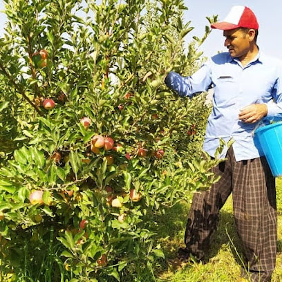 میدان تره بار اشنویه