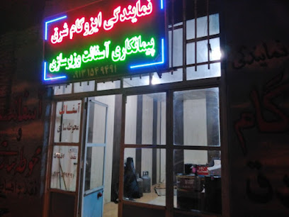 میلاد ریسی
