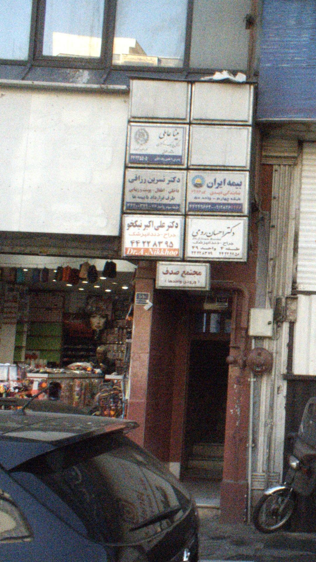 مینا عاملی