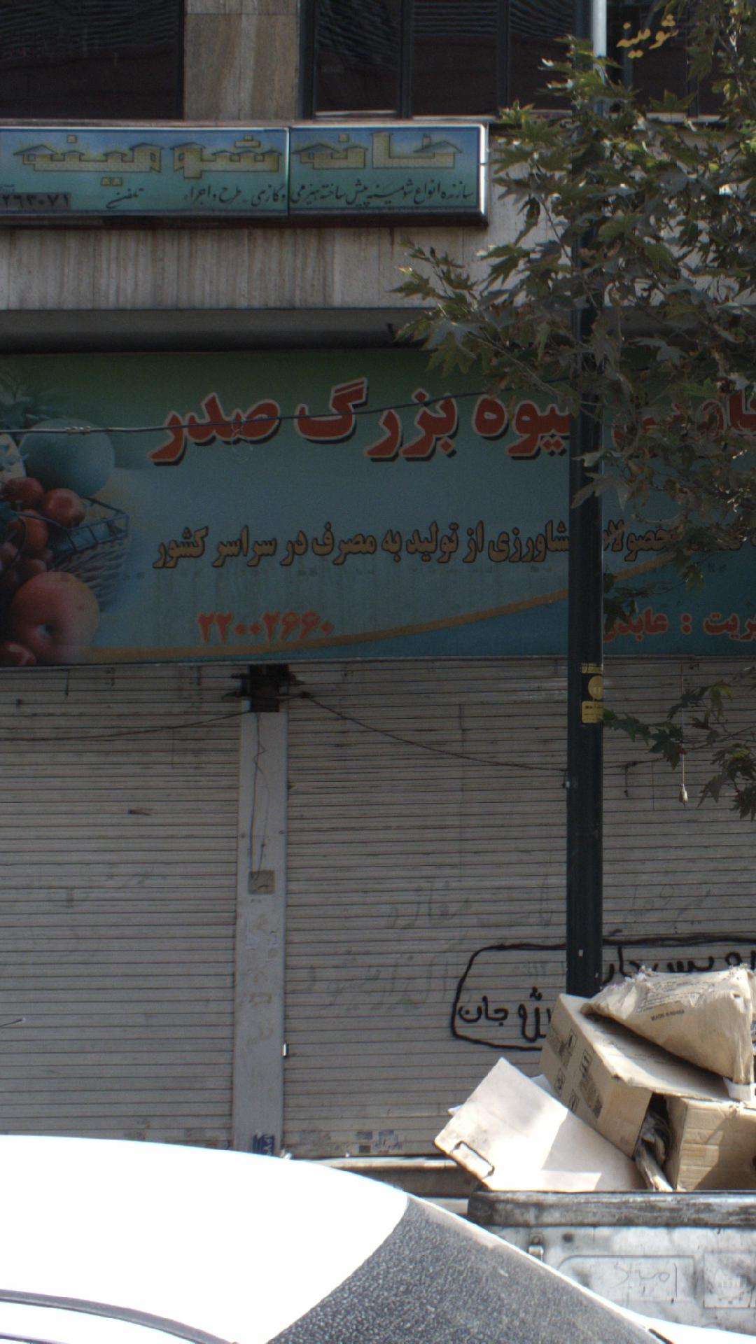 میوه بزرگ صدر