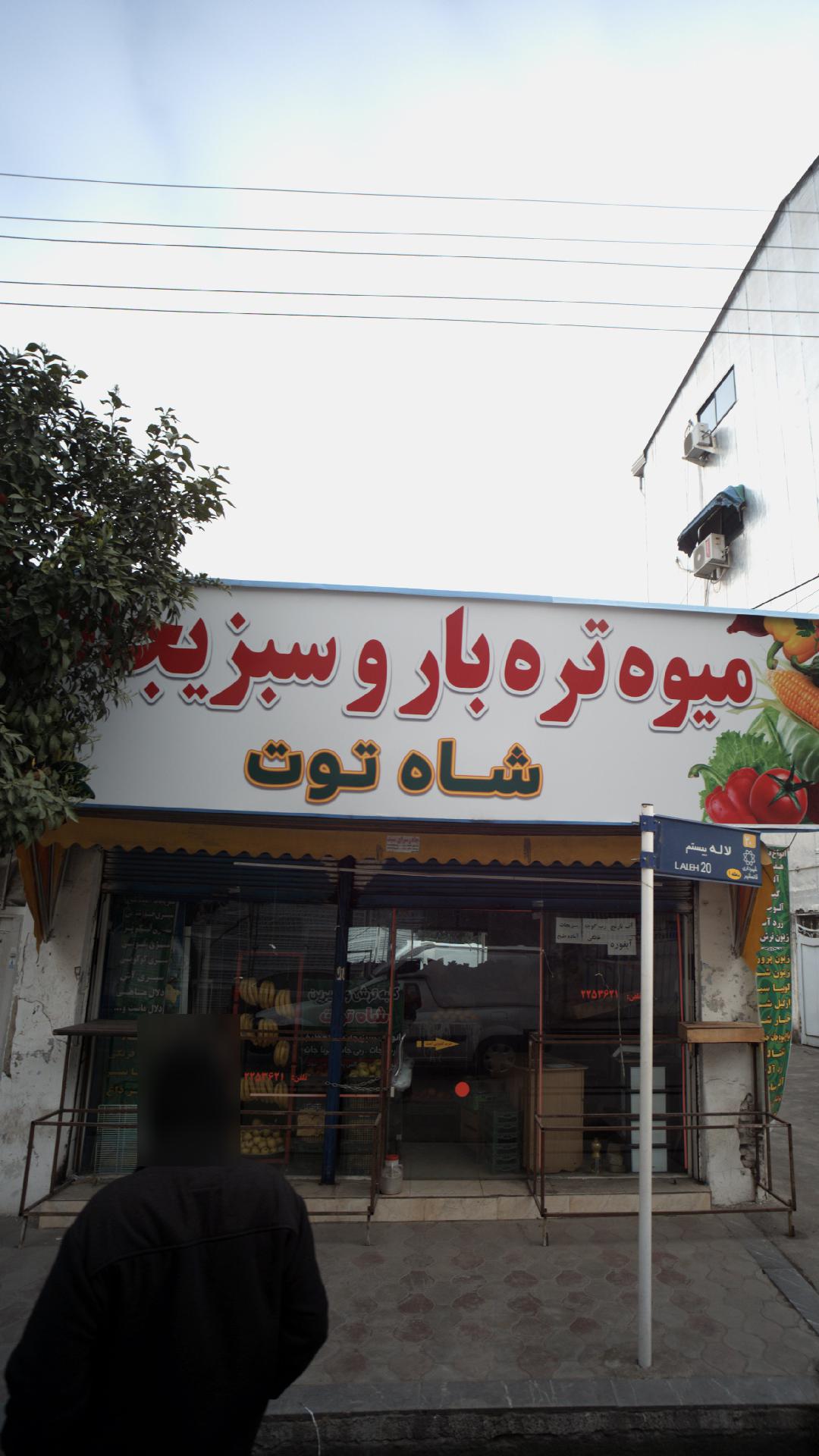 میوه تره بار و سبزیجات شاه توت