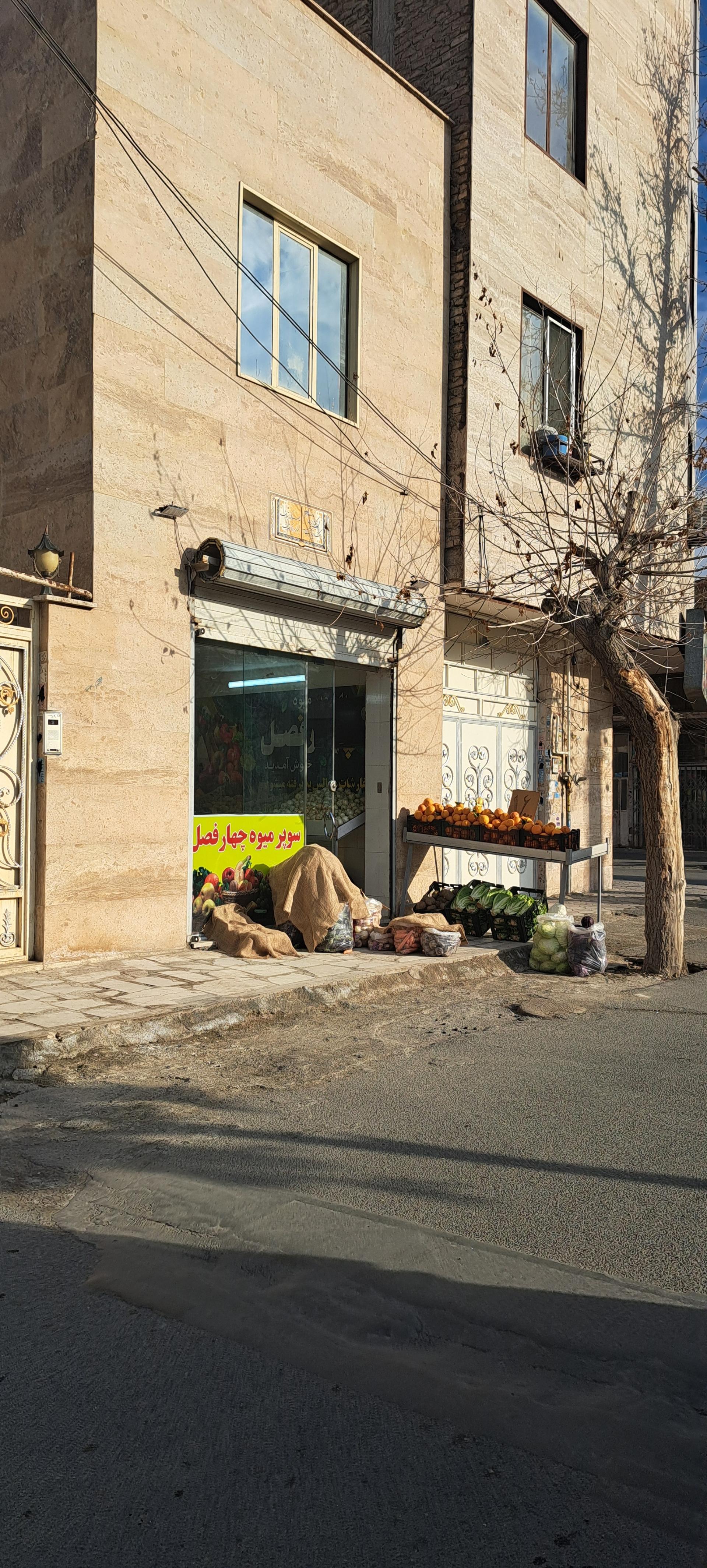 میوه سرای چهار فصل نارنج