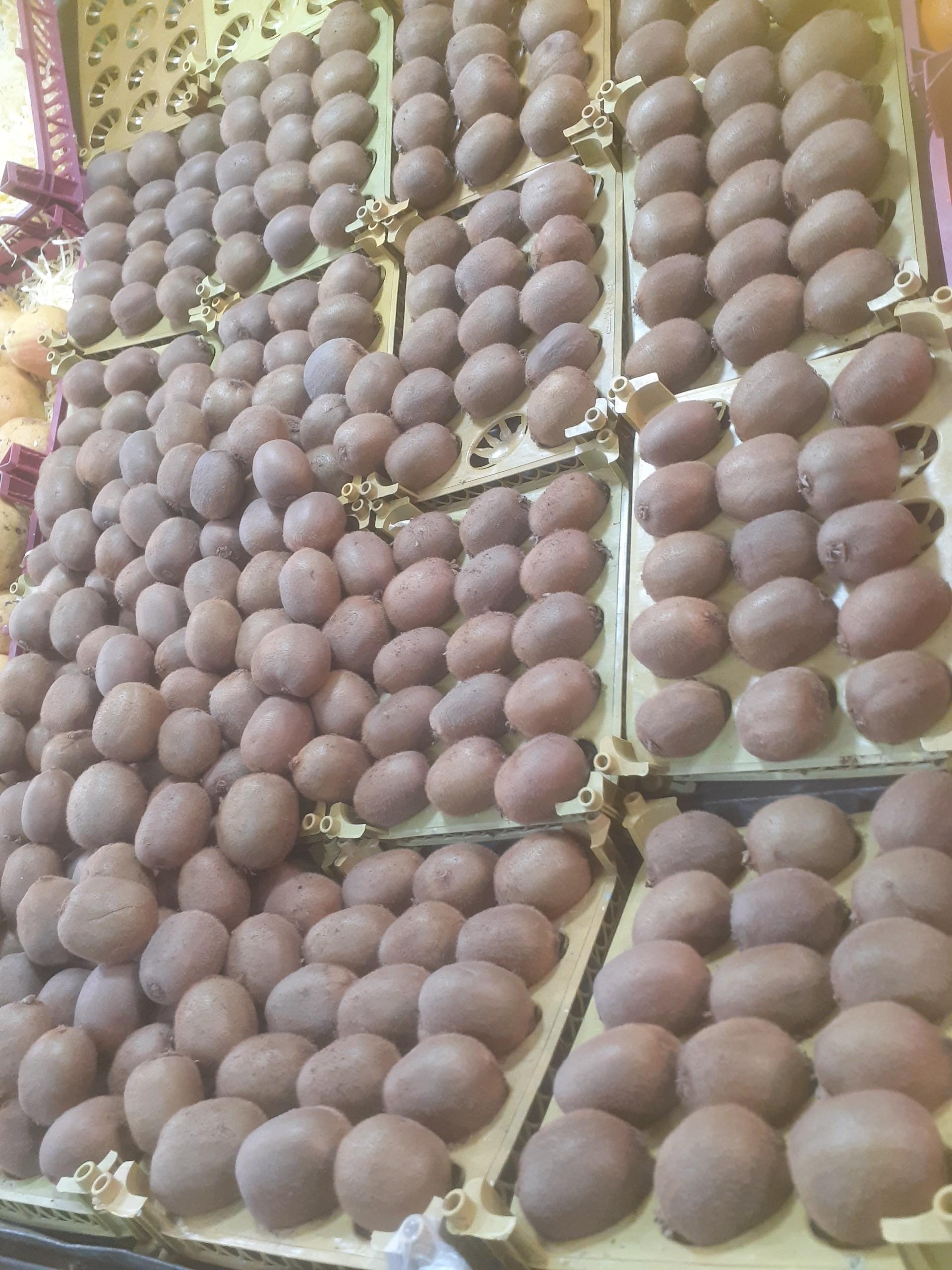 میوه فروشی حاج بابا
