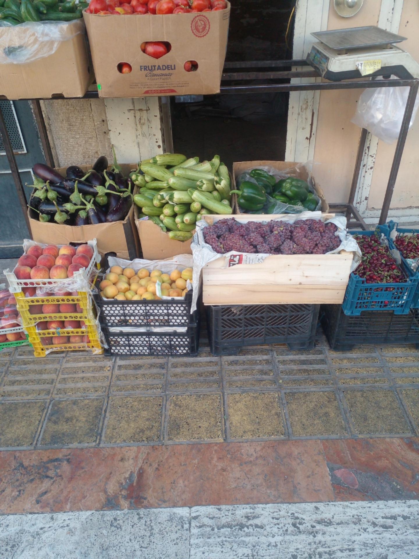 میوه فروشی قائم