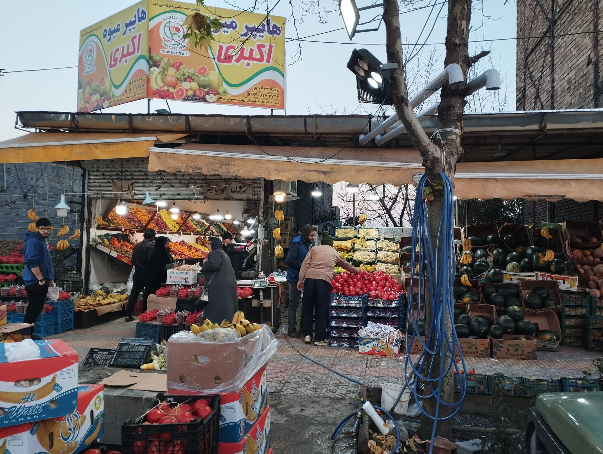 میوه فروشی ممدلی