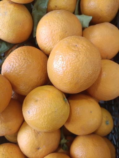 میوه فروشی یلدا