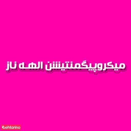 میکرو پیگمنتیشن الهه ناز