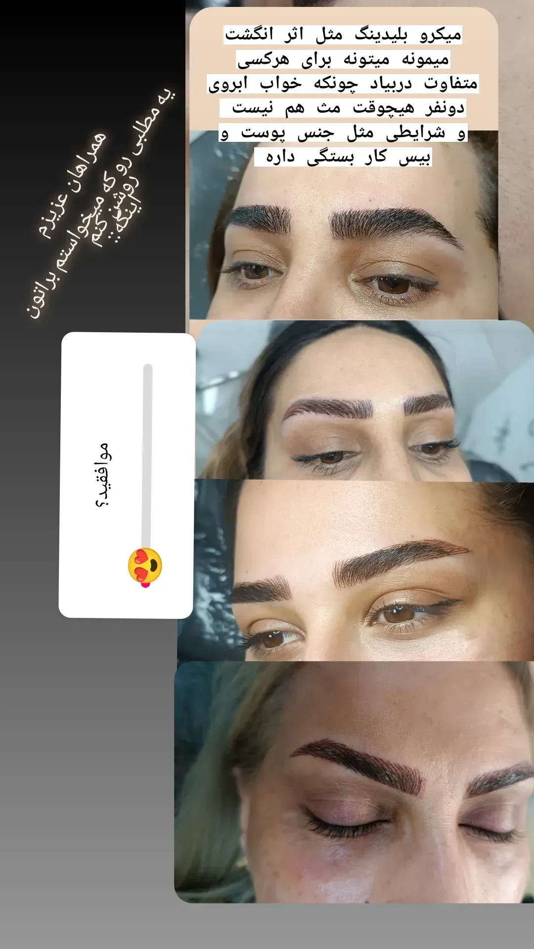 میکروبلیدینگ پریسا رجبی