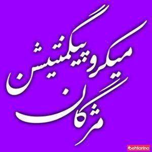 میکروپیگمنتیشن مژگان