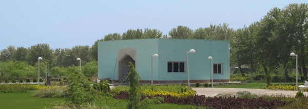 نرگس (بانوان) (مادر قائم)